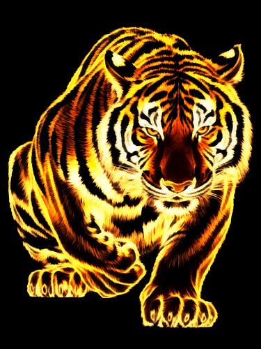 Tiger – katzenhafte Kraft