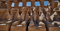 Beelden van de sfinx met ramskop in het tempelcomplex van Karnak in Luxor, Egypte.
