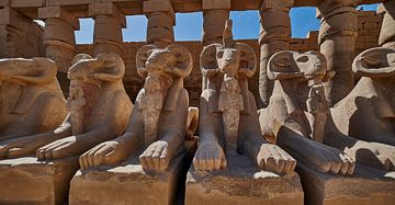 Beelden van de sfinx met ramskop in het tempelcomplex van Karnak in Luxor, Egypte. van Mohamed Abdelrazek