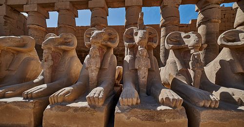 Beelden van de sfinx met ramskop in het tempelcomplex van Karnak in Luxor, Egypte.