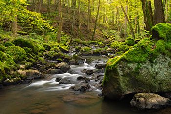 Ein kleiner Fluss in der Eifel, fotografiert mit einer langen Verschlusszeit.