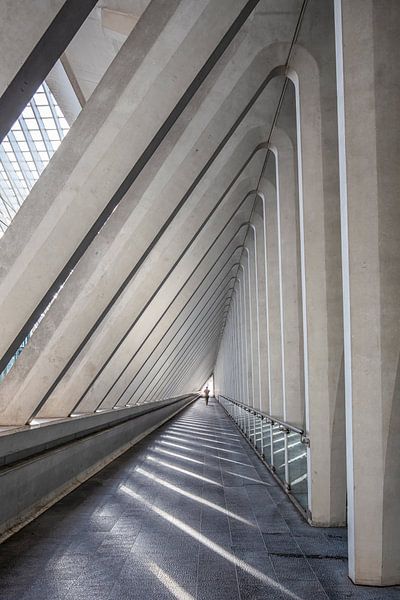 Galerie von Wanda Michielsen
