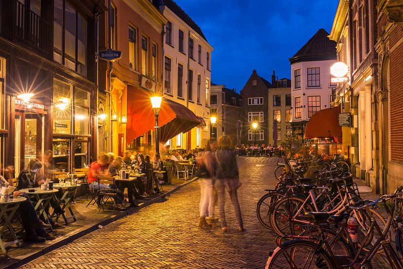 Het Gezellige Wed - Utrecht van Thomas van Galen