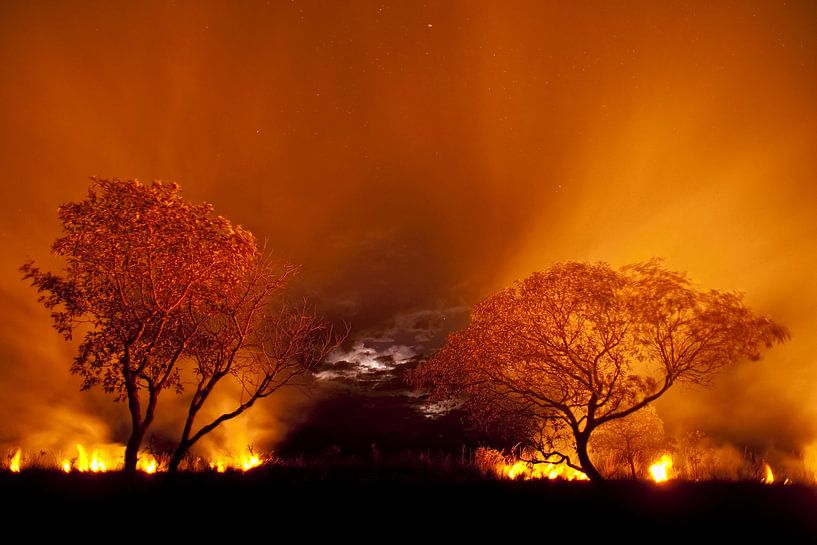 Bosbrand in de Pantanal, Brazilië. von AGAMI Photo Agency