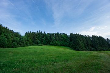 Duitsland - Rand van het Zwarte Woud met groene weiden bij dageraad met blauwe lucht van adventure-photos