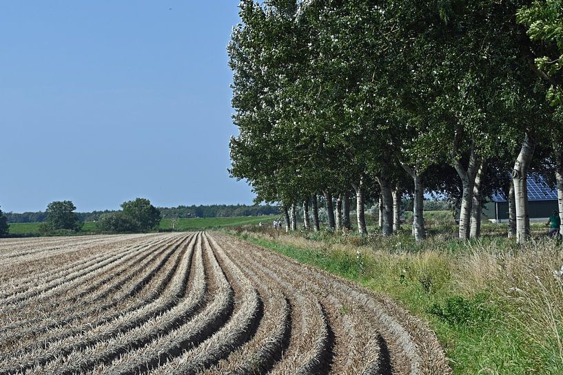 Linien auf einem Kartoffelacker. von Tjamme Vis