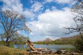 Stérilisateur de bière & Kijfhoek, Meyendel, Pays-Bas