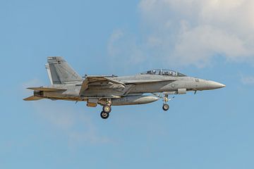 F/A-18F Super Hornet van VFA-32 Swordsmen. van Jaap van den Berg