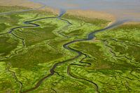 Mysterieus Wad (3)