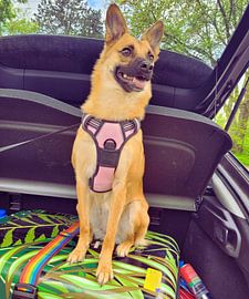 Bambina ist Urlaubsreif von Holy Heaven