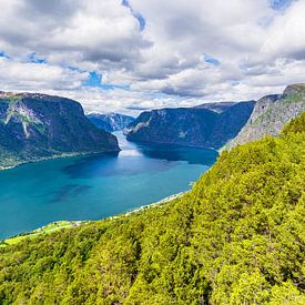 Uitzicht vanaf de Stegastein over de Aurlandsfjord in Noorwegen van Rico Ködder