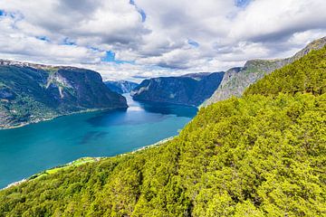 View from the Stegastein over the Aurlandsfjord in Norway by Rico Ködder