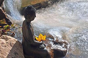 Buddha am Fluss 3.0