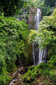 Wasserfall auf Maui