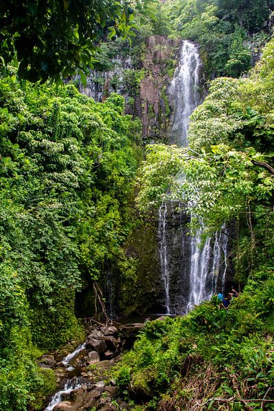 Wasserfall auf Maui von Dirk Rüter