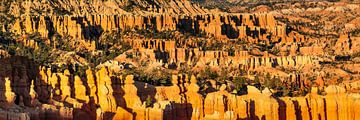 Bryce Amphitheatre bij zonsondergang, Bryce Canyon, VS van Markus Lange