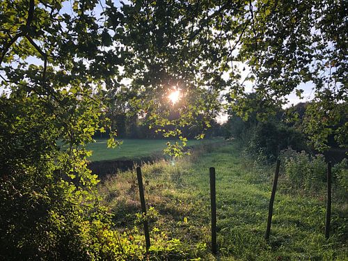 Feiertage von Kirsten Nilis