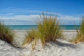 Eastern Magic by Claudia Moeckel