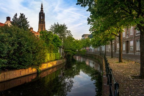 Onze Lieve Vrouwetoren in Amersfoort met bomen op de voorgrond.