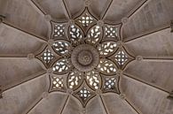 Ceiling of Burgos Cathedral in Spain by Maarten Hoek thumbnail