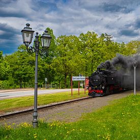 Stoomlocomotiefromantiek op het platteland - historische Zittau smalspoorbaan in het kuuroord Jonsdorf van Tanja Riedel