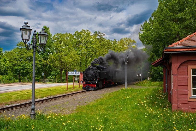 Romantisme de la locomotive à vapeur dans la verdure - Chemin de fer historique à voie étroite de Zittau à la station thermale de Jonsdorf par Tanja Riedel