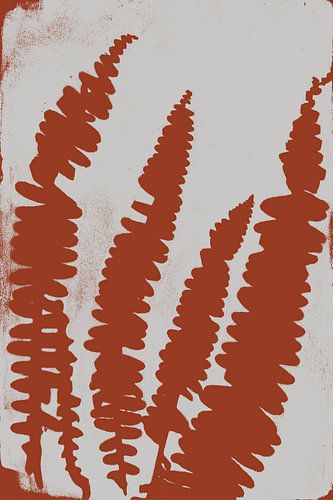 Moderne Botanische kunst. Varenbladeren in terracotta nr. 1