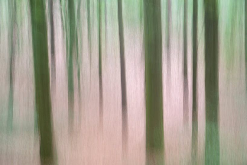 Bäume in Bewegung - Frühling 2018 - 2 von Danny Budts