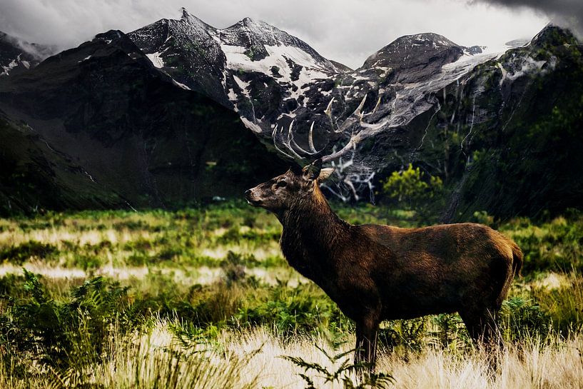 Hertengebergte van Mateo