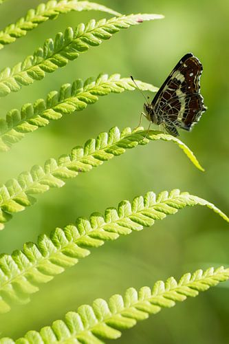 Landkaartje op varen