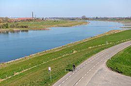 Neder-rijn van Richard Wareham