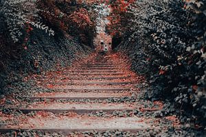 Die Treppe zum Winter von Faucon Alexis