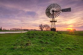 Herkules von Patrick Mortko