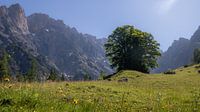 Mountains and alpine meadows of Hinterthal