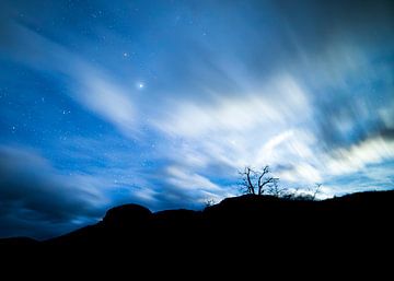 Eenzame boom in de nacht van Lennart Verheuvel