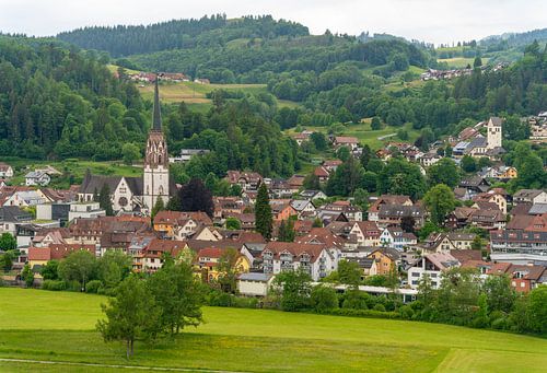 Aux alentours de Schönau, dans la Forêt-Noire