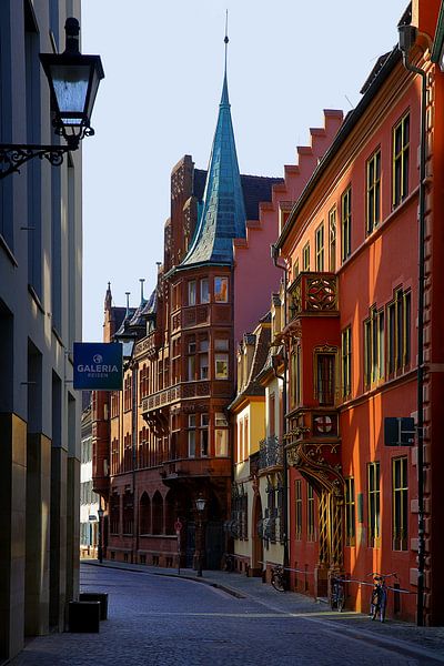 Haus zum Walfisch Freiburg von Patrick Lohmüller