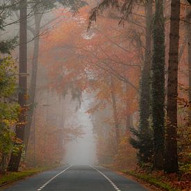 misty road van Mariëlle Weijsenfeld