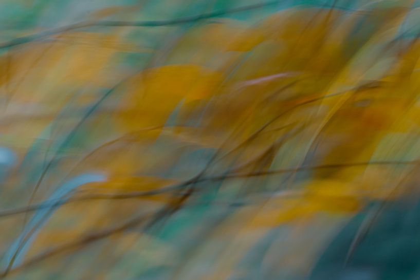 Autumn by willie smink