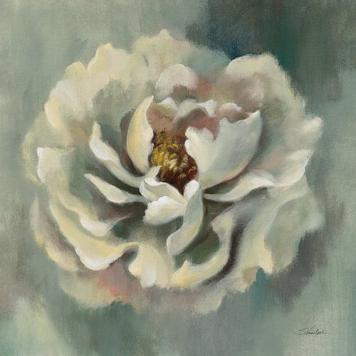 Dancing Petals, Silvia Vassileva