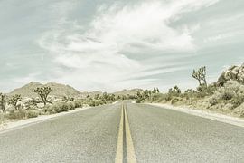 Joshua Trees at a Country Road by Melanie Viola