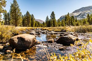 Yosemite National park