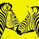 two zebras in yellow impression by Werner Lehmann thumbnail