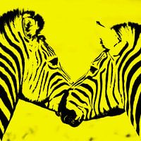two zebras in yellow impression
