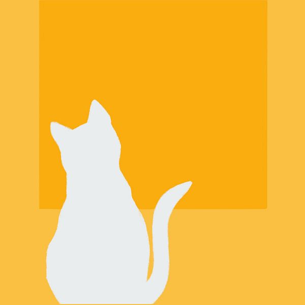 Cat by Femke Bender