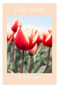 Affiche ou dépliant du marché des tulipes d'Amsterdam. sur Denise Tiggelman