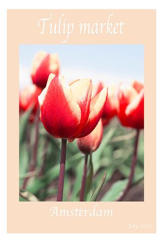 Amsterdam Tulpen Markt Poster of Flyer.
