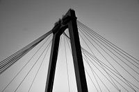 Willemsbrug in black and white, rotterdam