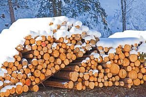 Zwei Holzstapeln im Schnee