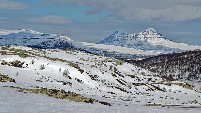 Norwegen, Frühling by Michael Schreier